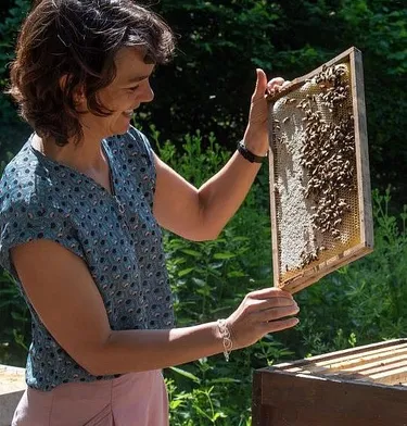 Kirsten Traynor untersucht Bienenwaben