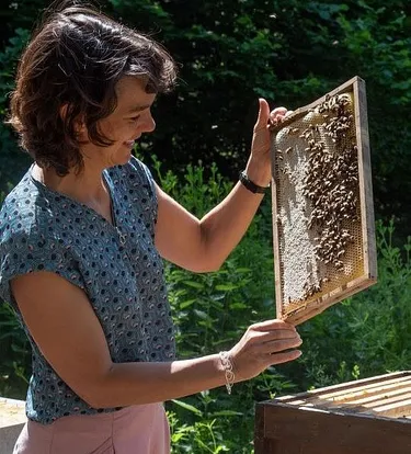 Kirsten Traynor examines honeycombs