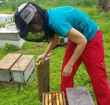 Kirsten Traynor trägt Imkerausstattung und arbeitet an einem Bienenstock