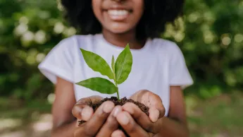 Girl planting a small tree