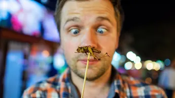 Junger Mann isst Insekten auf einem Markt in Thailand