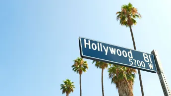 Picture of the street sign "Hollywood Boulevard", blue sky and palm trees in the background