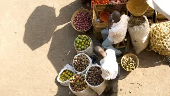 Uganda hat eine breite Palette an leckerem Obst und Gemüse, aber auch beliebte Kaffee- und Teesorten zu bieten.