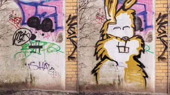 Swastika graffiti on a wall turned into a rabbit