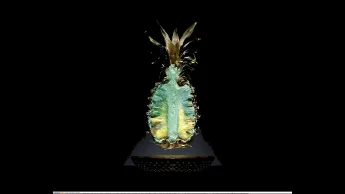 Photo shows a moldy pineapple