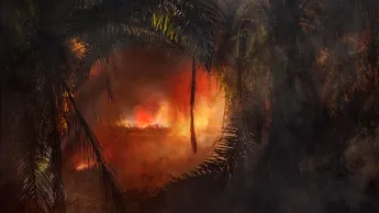 A piece by Julian Charrière: You can see a fire in the jungle