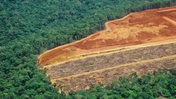 Deforestation in the Amazon