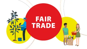 Teaser photo of the infographic on fair trade