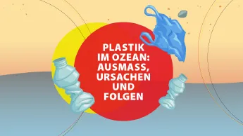 Teaserbild zur Infografik zu Plastik im Ozean