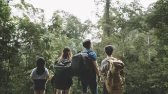 Familienwanderung in einem tropischen Wald