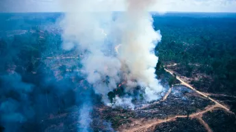 Smoke pollution in Singapore from Sumatra, the national forest being cut down and burned by farmers, and land being cleared for the production of palm oil in Sumatra.