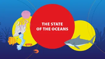 Infograpgics: The state of the ocean